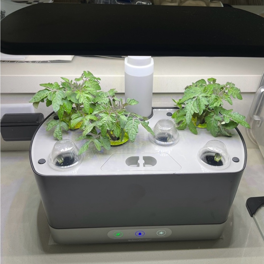 AeroGarden Harvest XL Indoor Garden Hydroponic System, LED Grow Light-Black